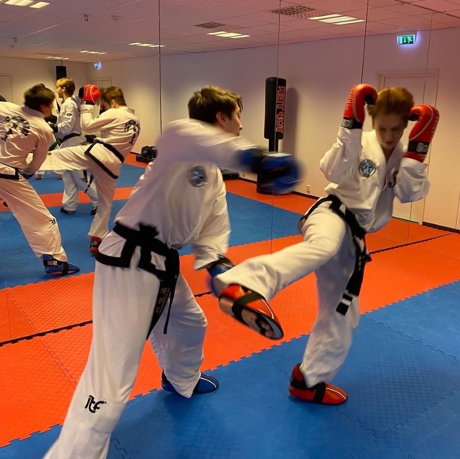 NoFo sparring